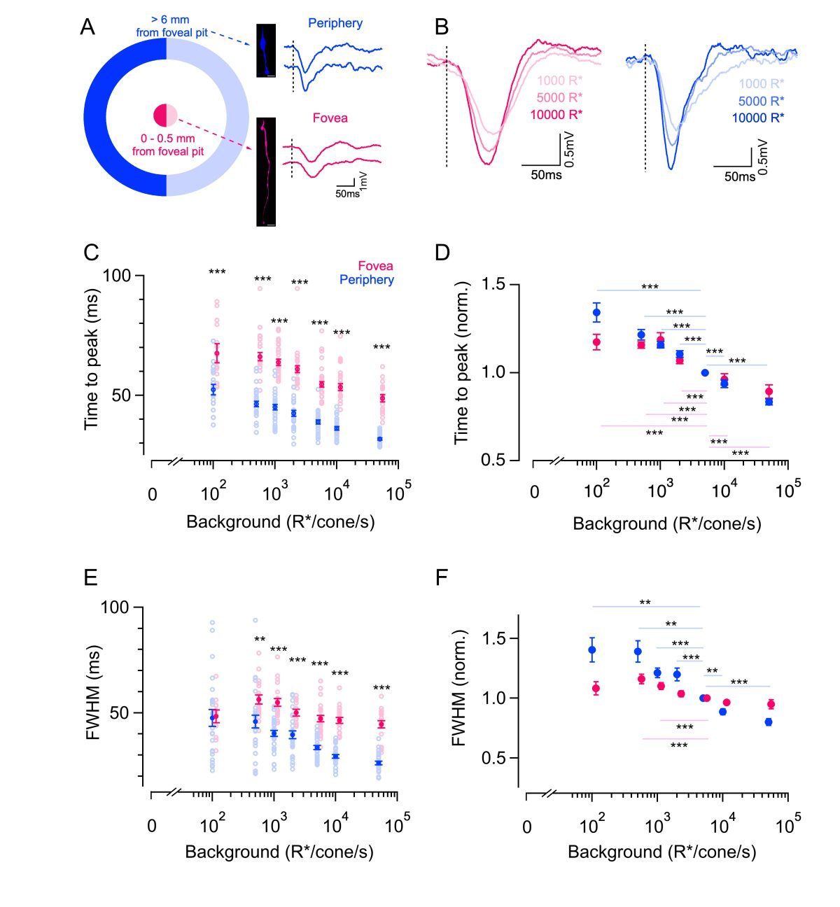 Photoreception Adaptation Publications – Sinha Lab – UW–Madison